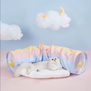 Rainbow cat tunnel